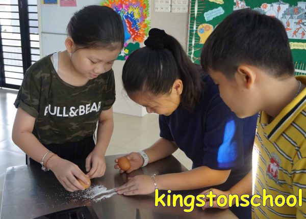 Kingston news and events science fair 4