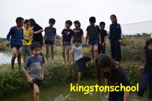 Kingston field trips y4 dusun kreatif 3